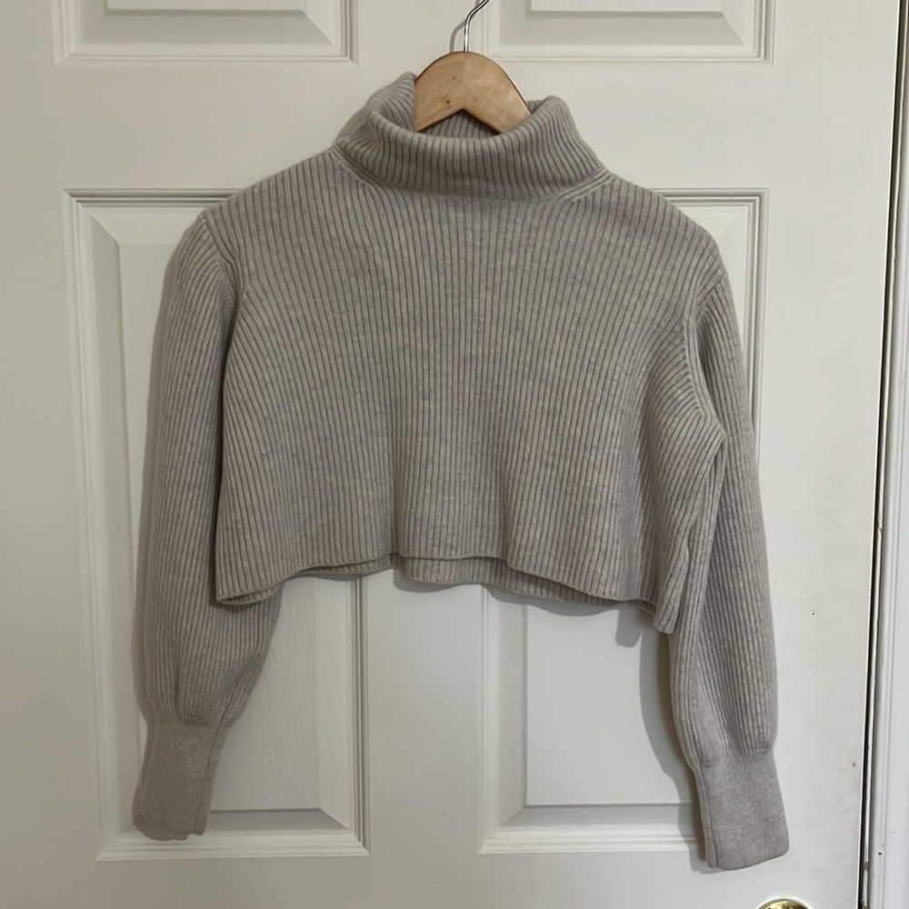 Aritzia Wilfred Rebecca Turtleneck 100% Wool‎